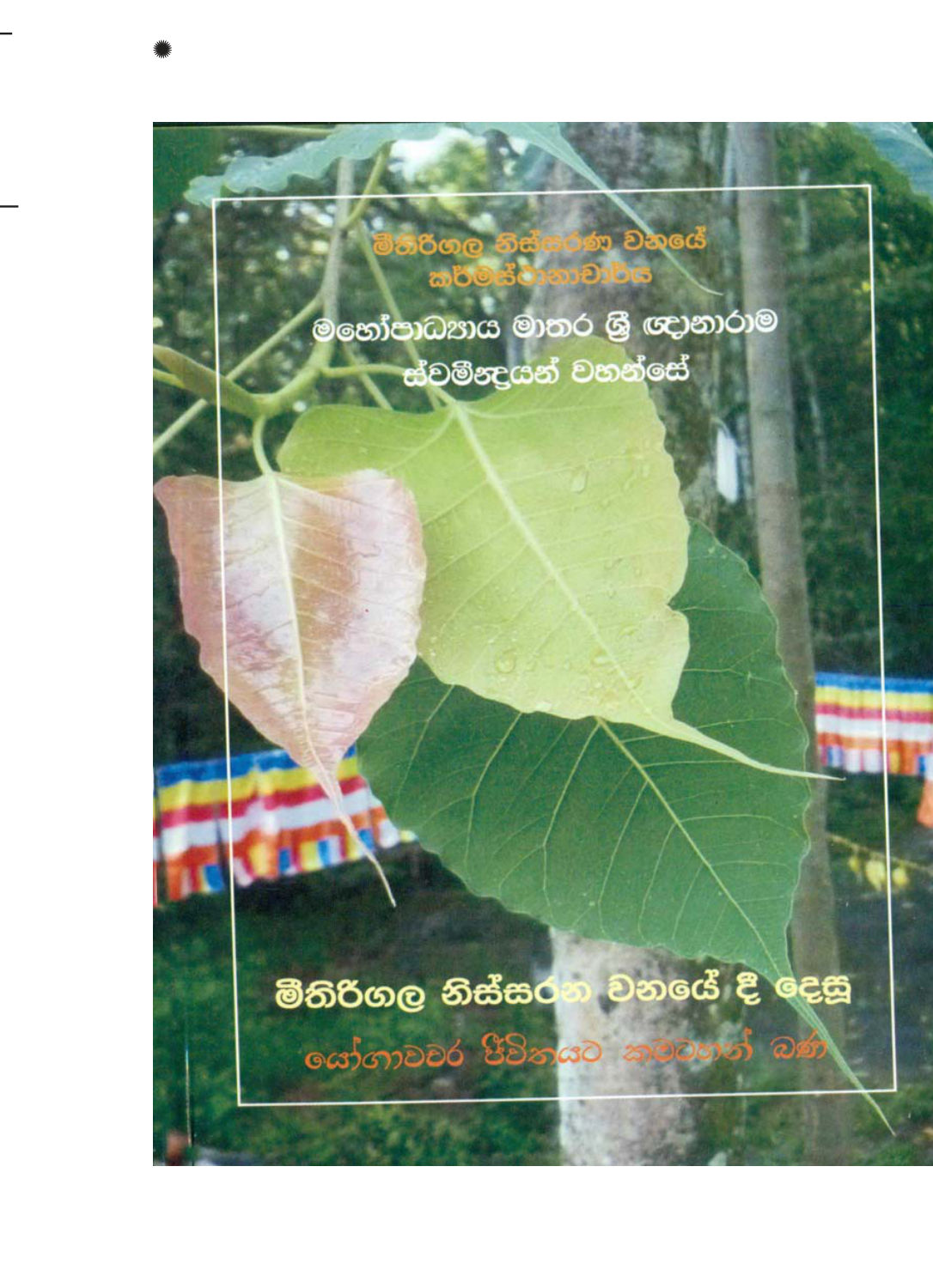 පිටුව 1