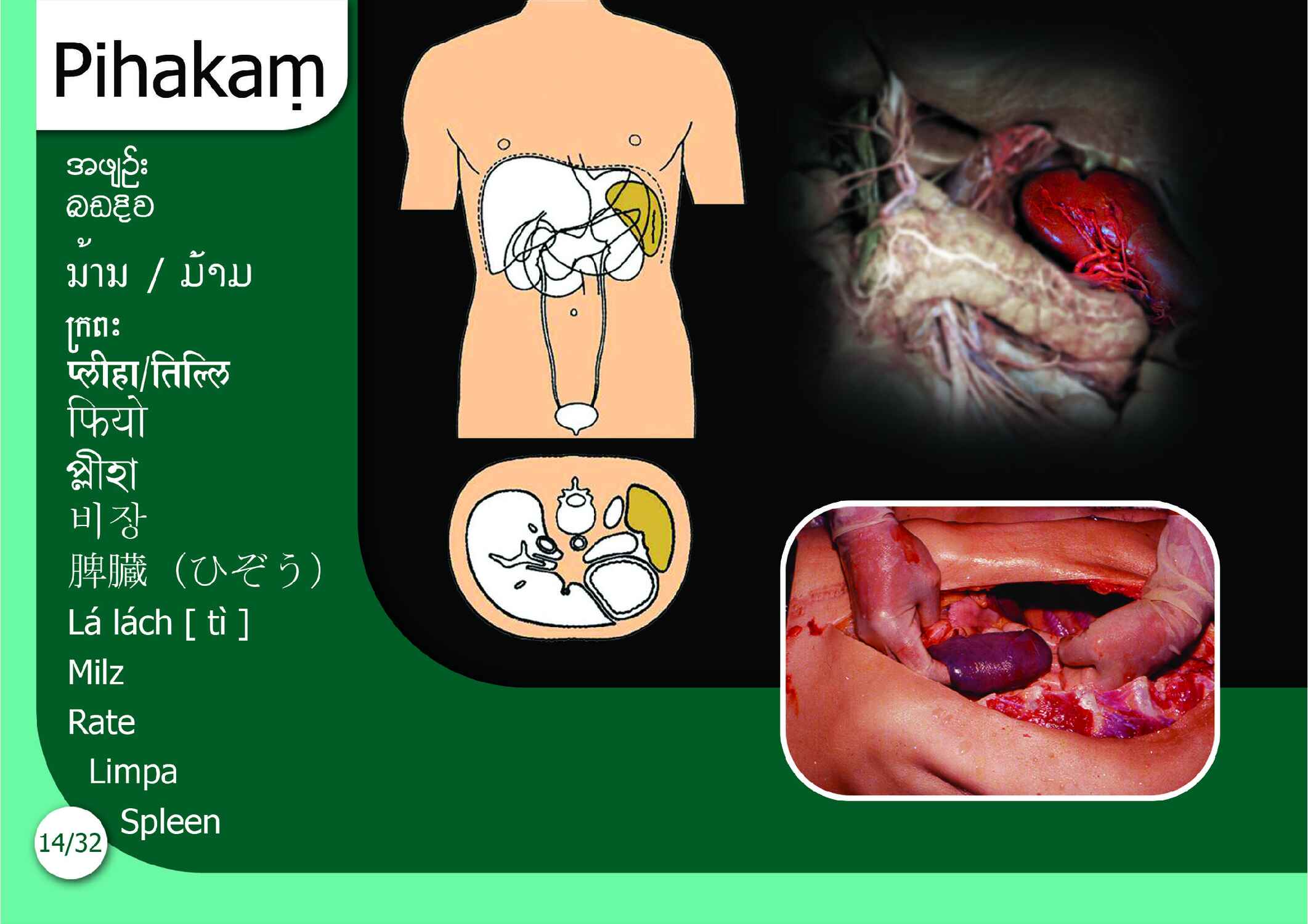 පිටුව 21