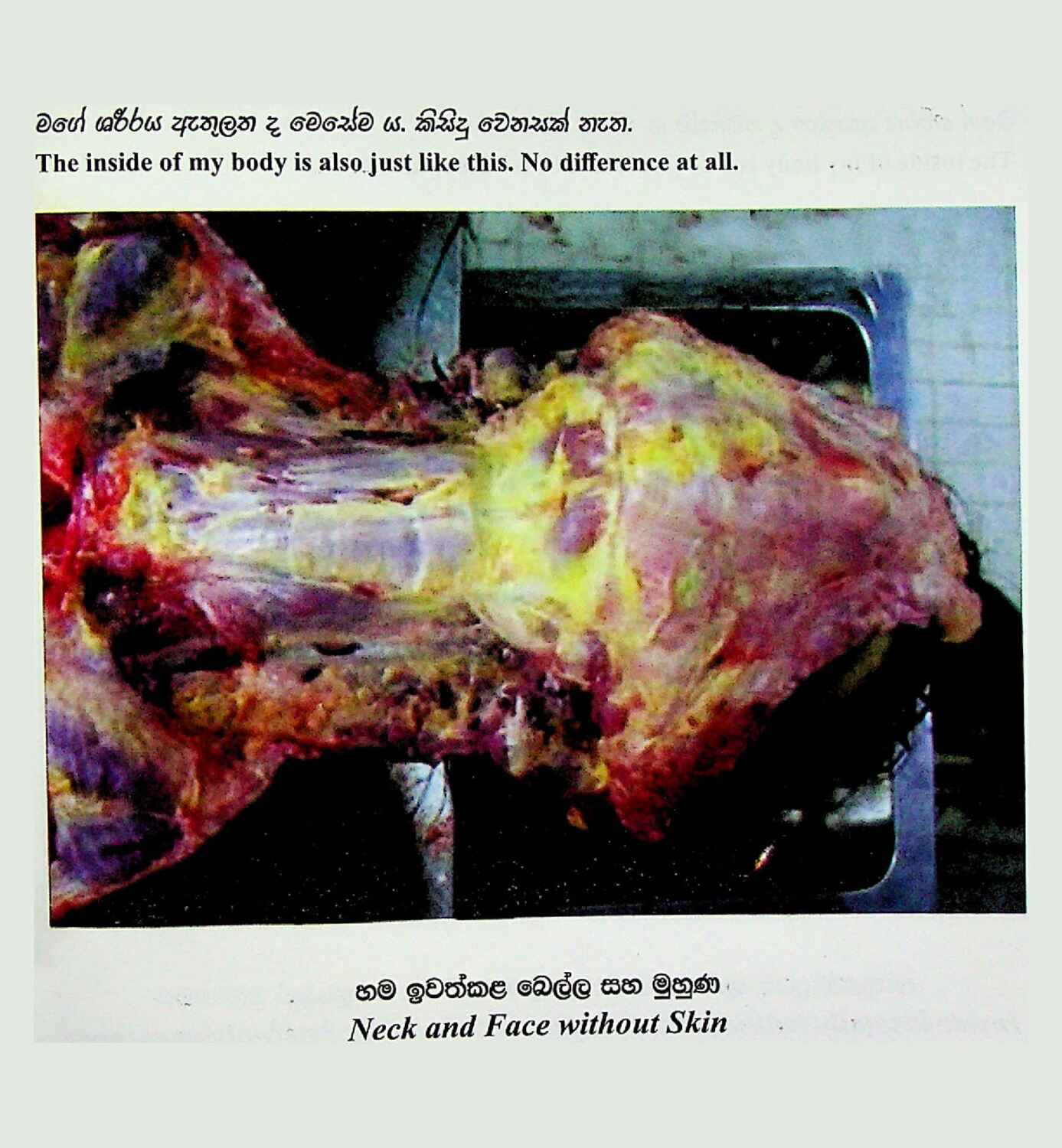 පිටුව 1