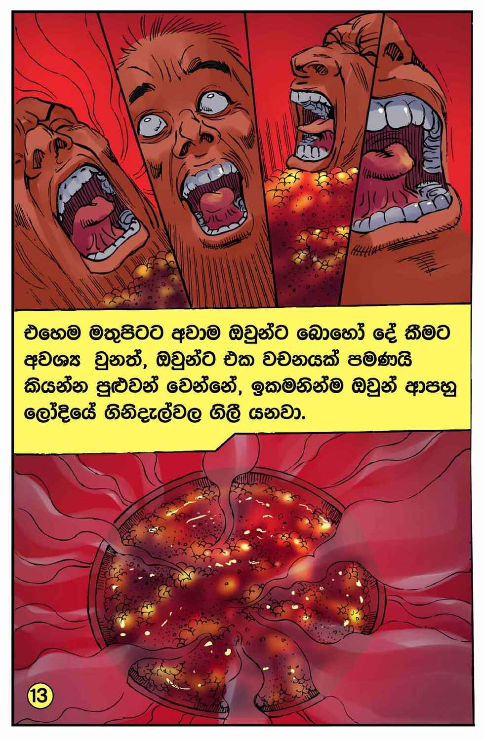 පිටුව 13